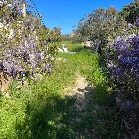 Stanza privata con giardino-3